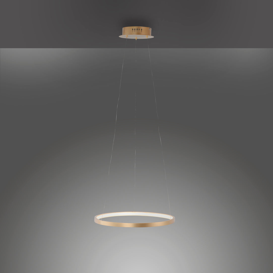 Suspension luminaire | Circle Dorée