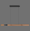 Suspension luminaire | Moto-Rise