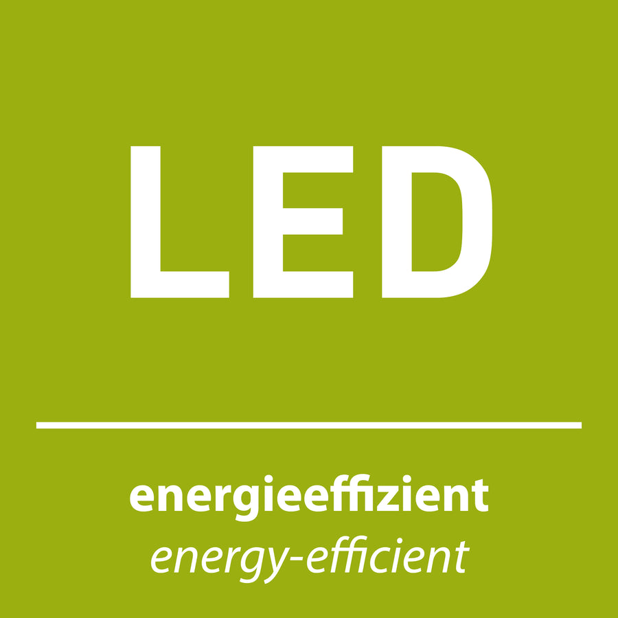 Pictogramme vert reprenant le sigle LED et la mention énergie efficace.