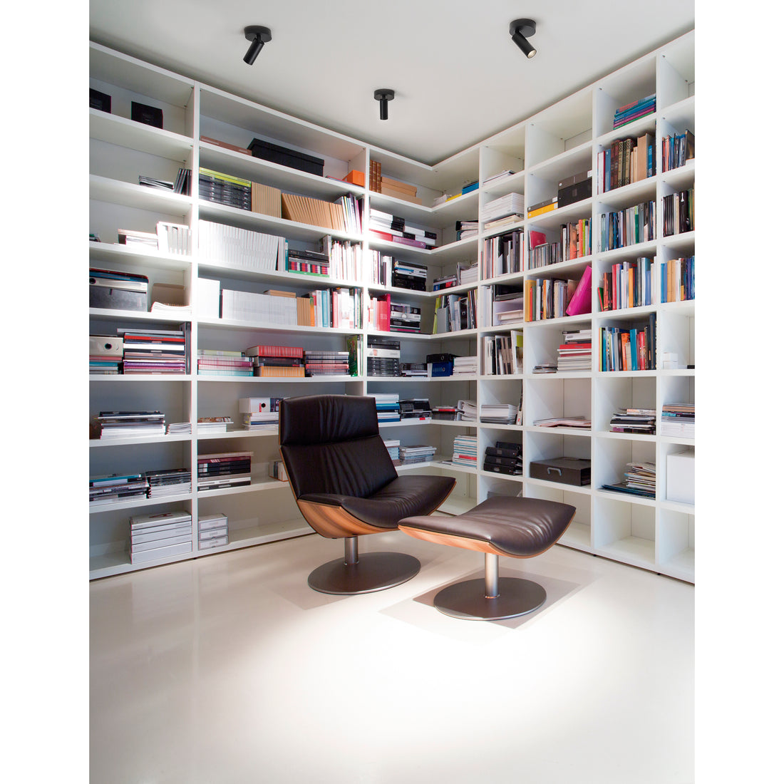 Spot LED | Dube