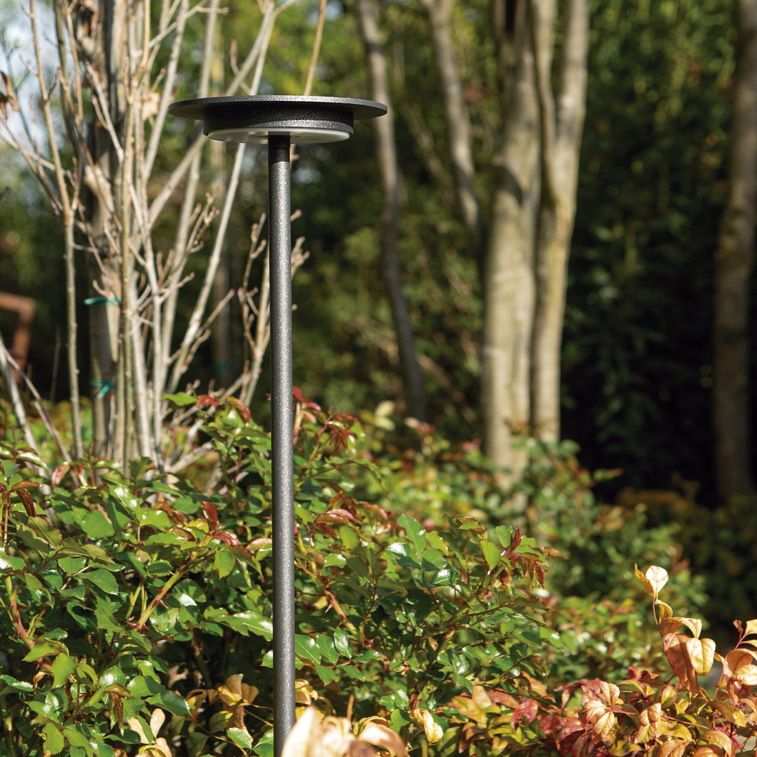 Luminaire extérieur | Marmarica