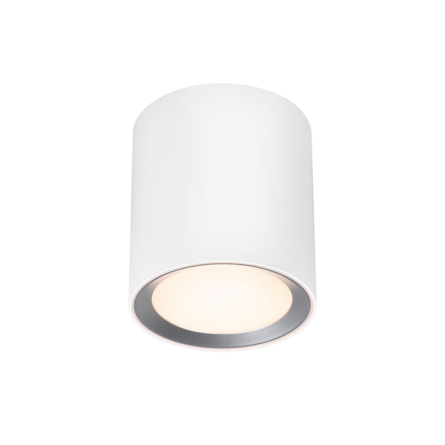 Plafonnier LED Landon Smart Long