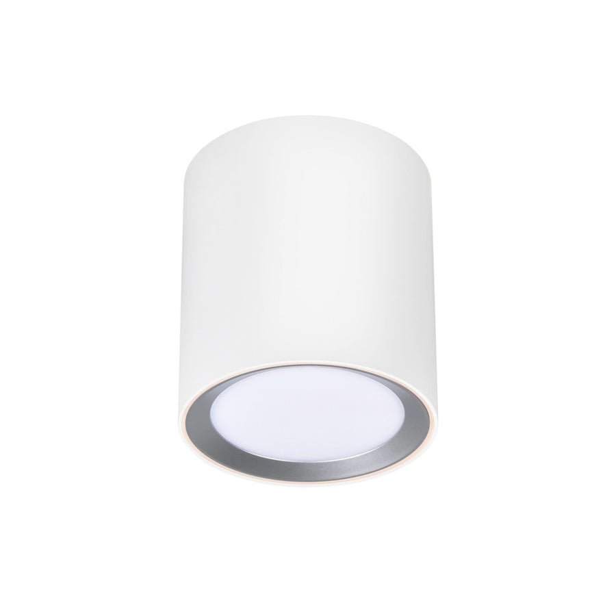Plafonnier LED Landon Smart Long