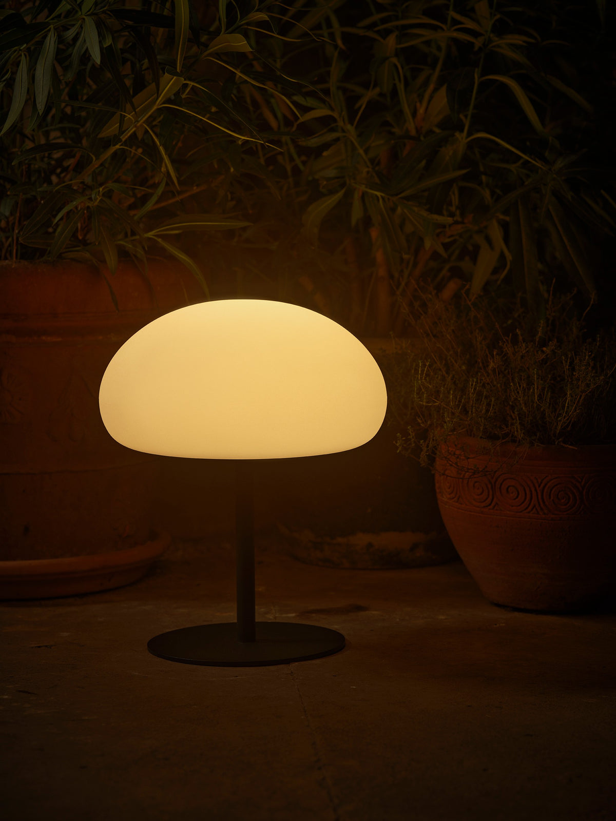 Mise en ambiance nocturne, la lampe allumée éclaire des plantes en pot, lumière chaude.