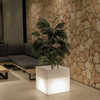 Jardinière lumineuse carrée Narciso