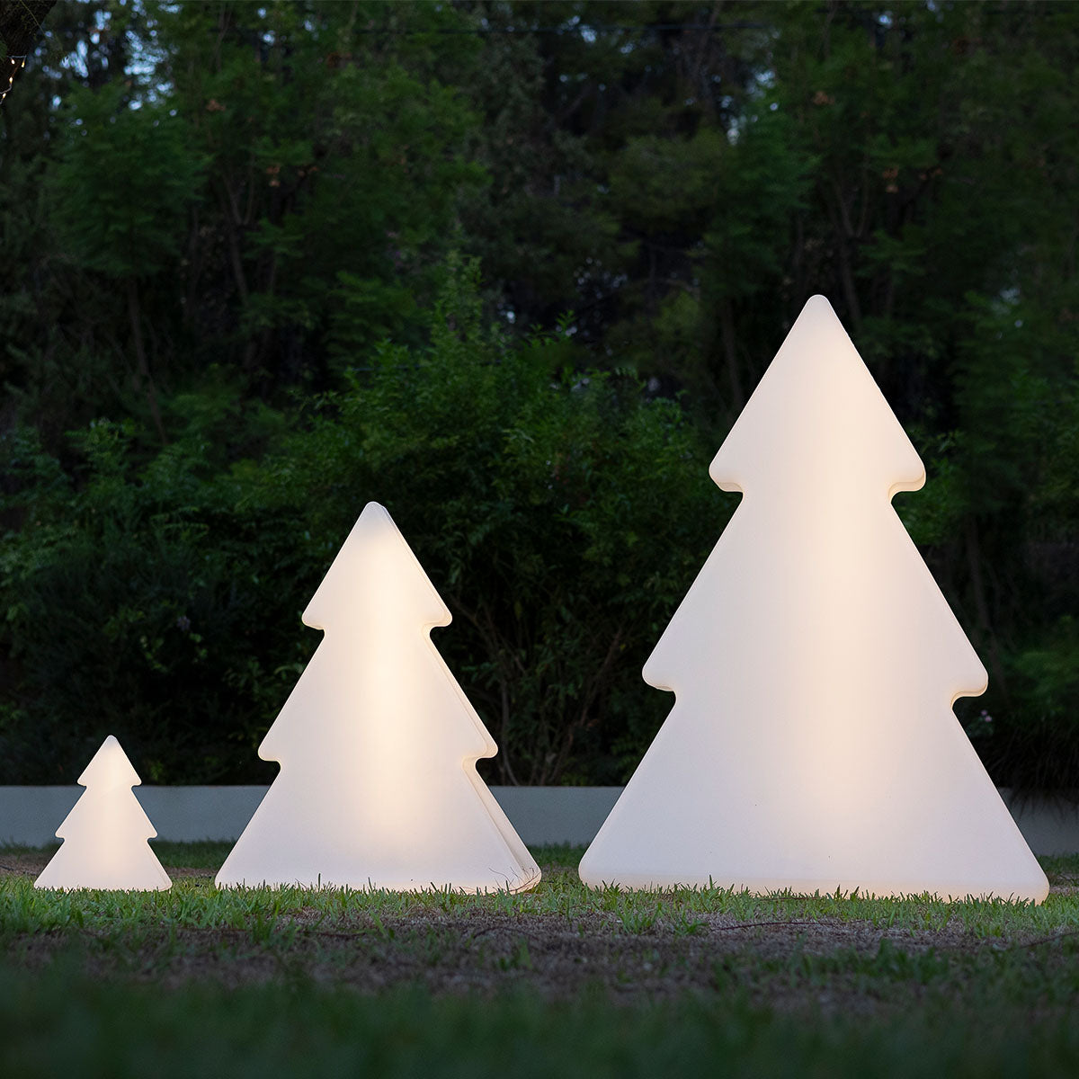 Arbre lumineux Pinus