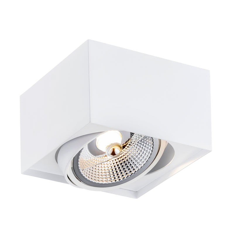 Plafonnier Rodos Plus 1 lumière