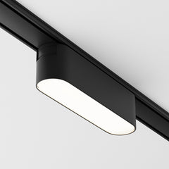Basis Spot noir