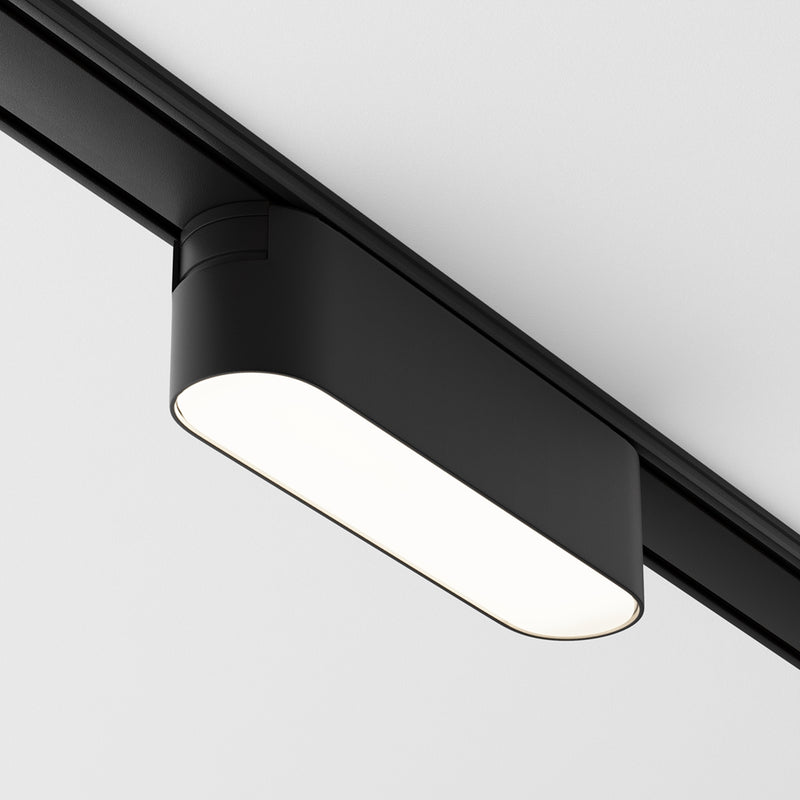Basis Spot noir