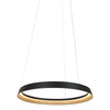 Suspension luminaire Ringlux noir
