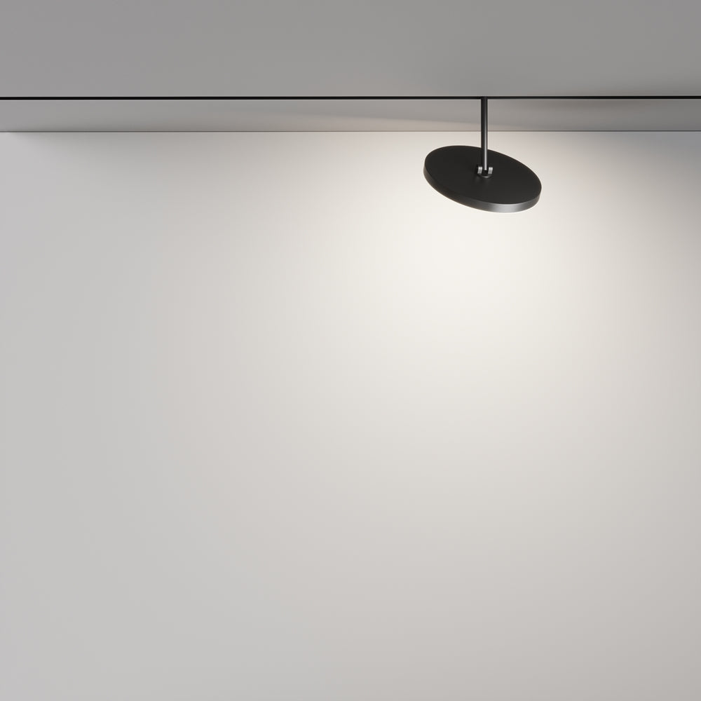 Plato Spot noir