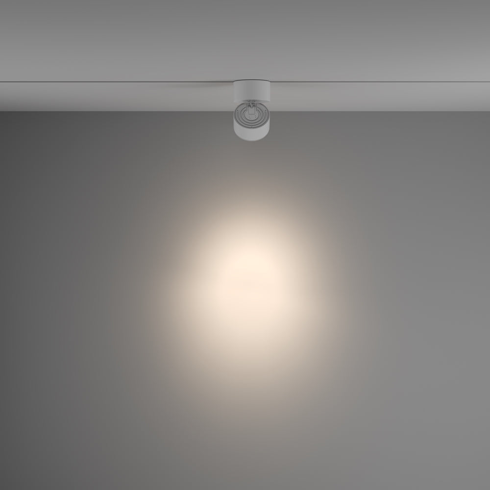 Yin Spot blanc