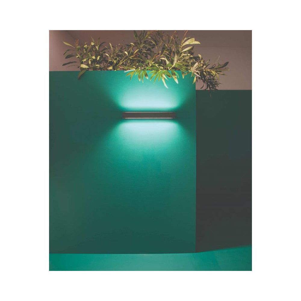 Applique murale allumée sur mur vert avec plantes, éclairage vertical.