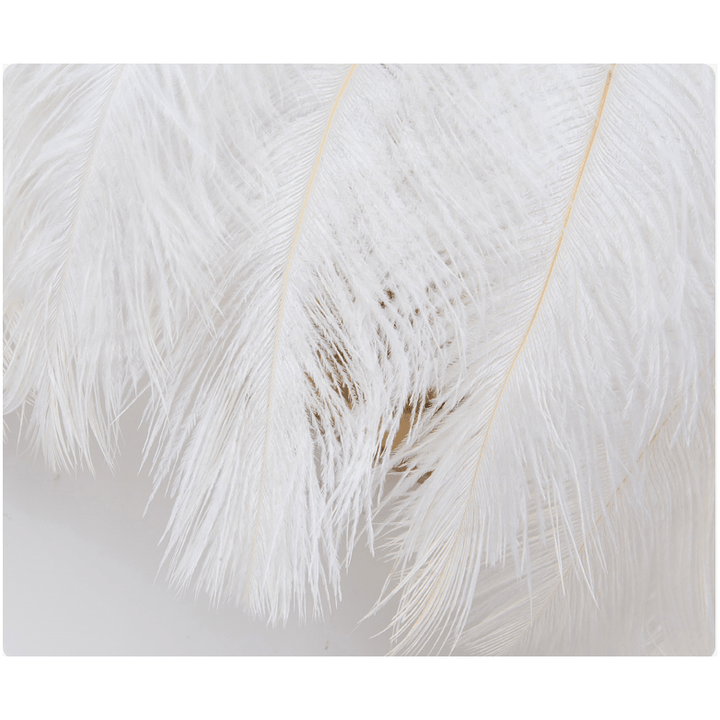 Applique Murale Plume Blanche | Douceur Céleste - Designix Applique Murale Blanc Chaud