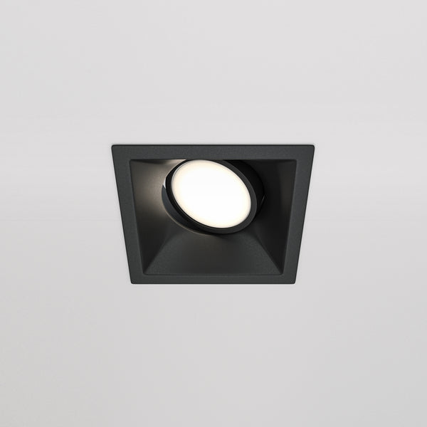 Dot Spot noir