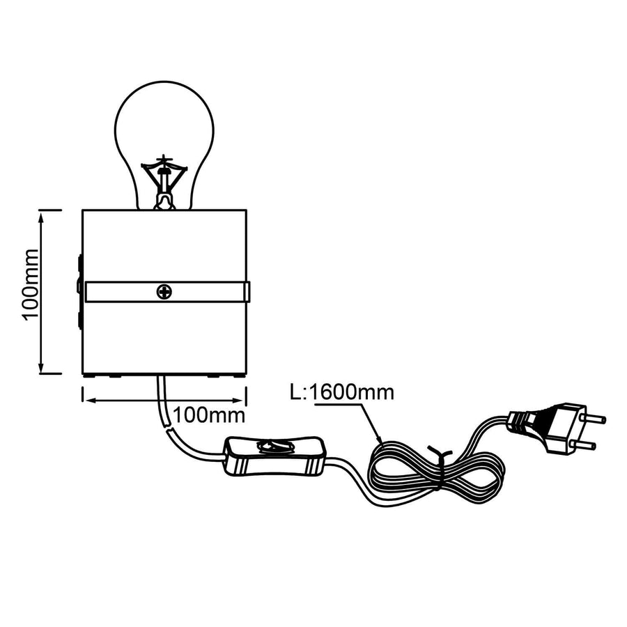 Schéma technique coté : bloc 100 mm, câble 1600 mm avec fiche.