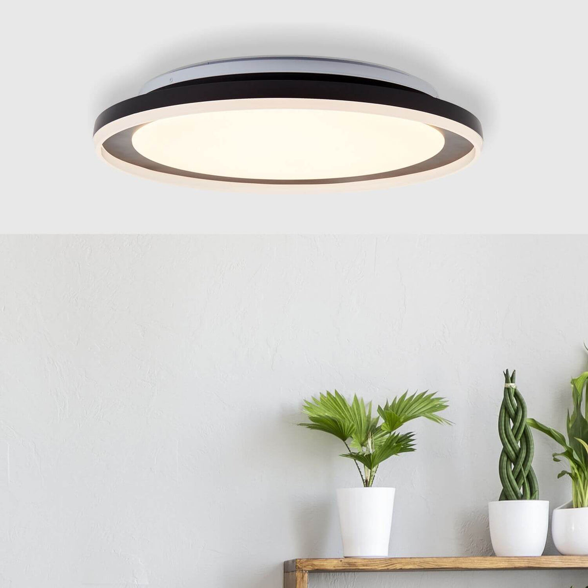 Mise en ambiance du plafonnier fixé au plafond blanc, avec plantes vertes en dessous