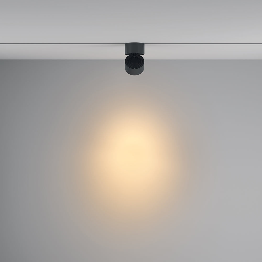Yin Spot noir