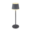 Lampe extérieure Ridley grise