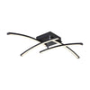 Plafonnier LED | Tansy I Noir
