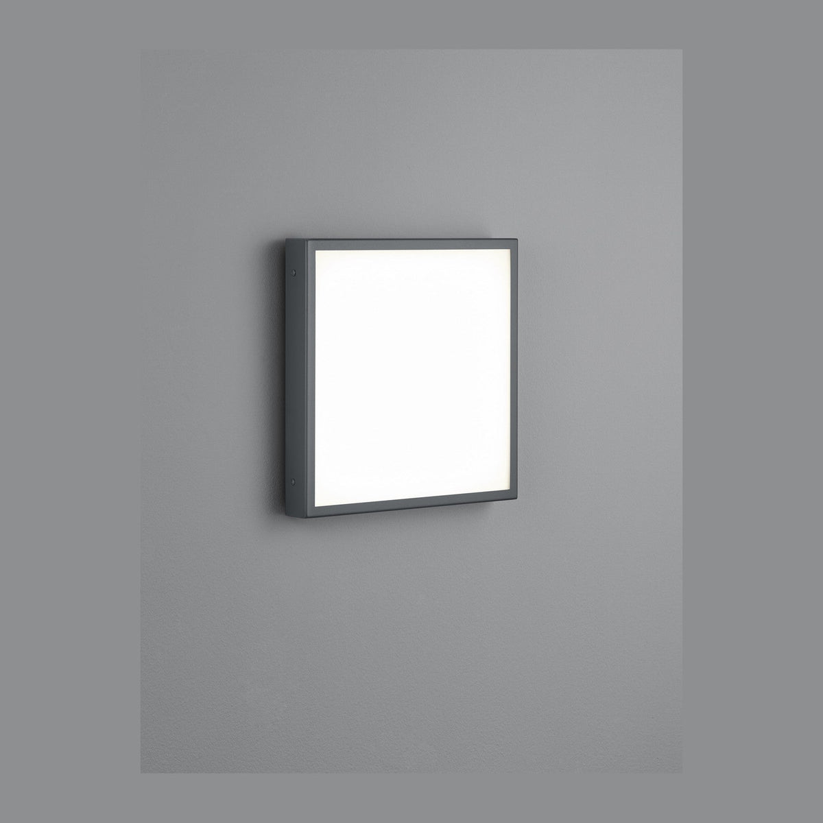 Applique extérieure Scala anthracite, L 32 cm
