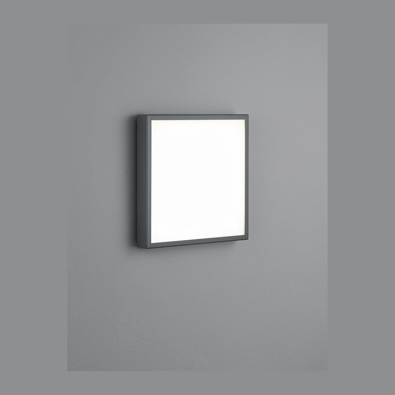Applique extérieure Scala anthracite, L 32 cm