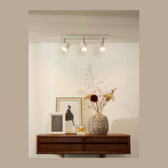 Luminaire plafonnier | Pellaris