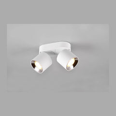 Plafonnier Guayana 2 lumières blanc mat