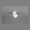 Plafonnier Taurus blanc mat, L 10,9 cm