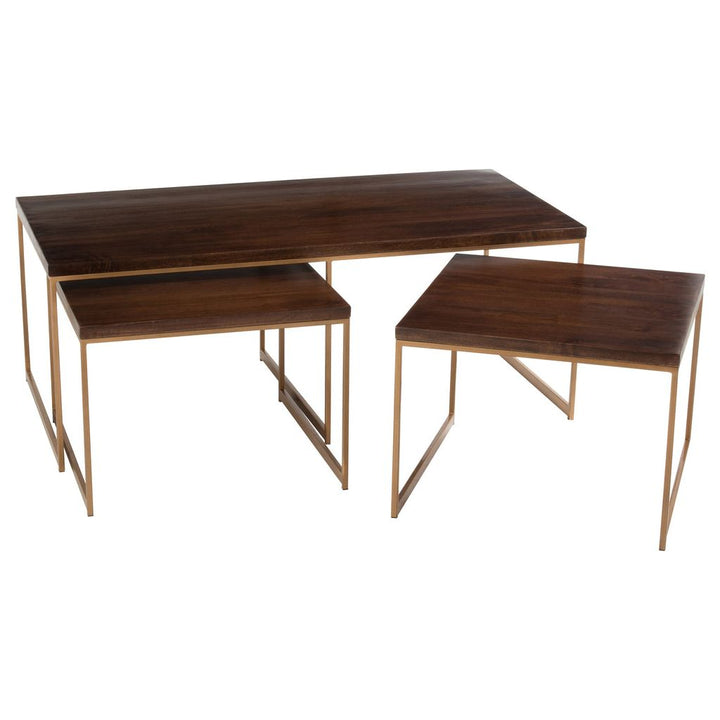 Table basse Rafi 3 parties en fer/bois de manguier doré/marron foncé | Designix -     - https://designix.fr