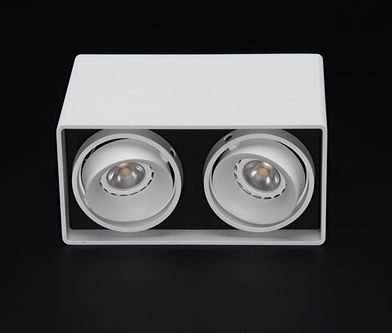 Vue frontale du spot rectangulaire blanc sur fond noir, deux lumières allumées.