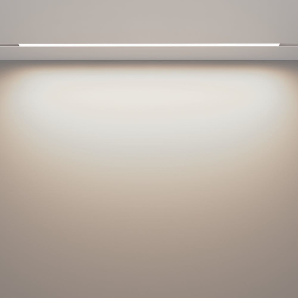 Basis Spot blanc