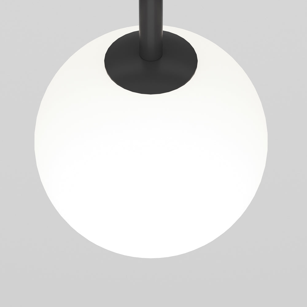 Luna Spot noir