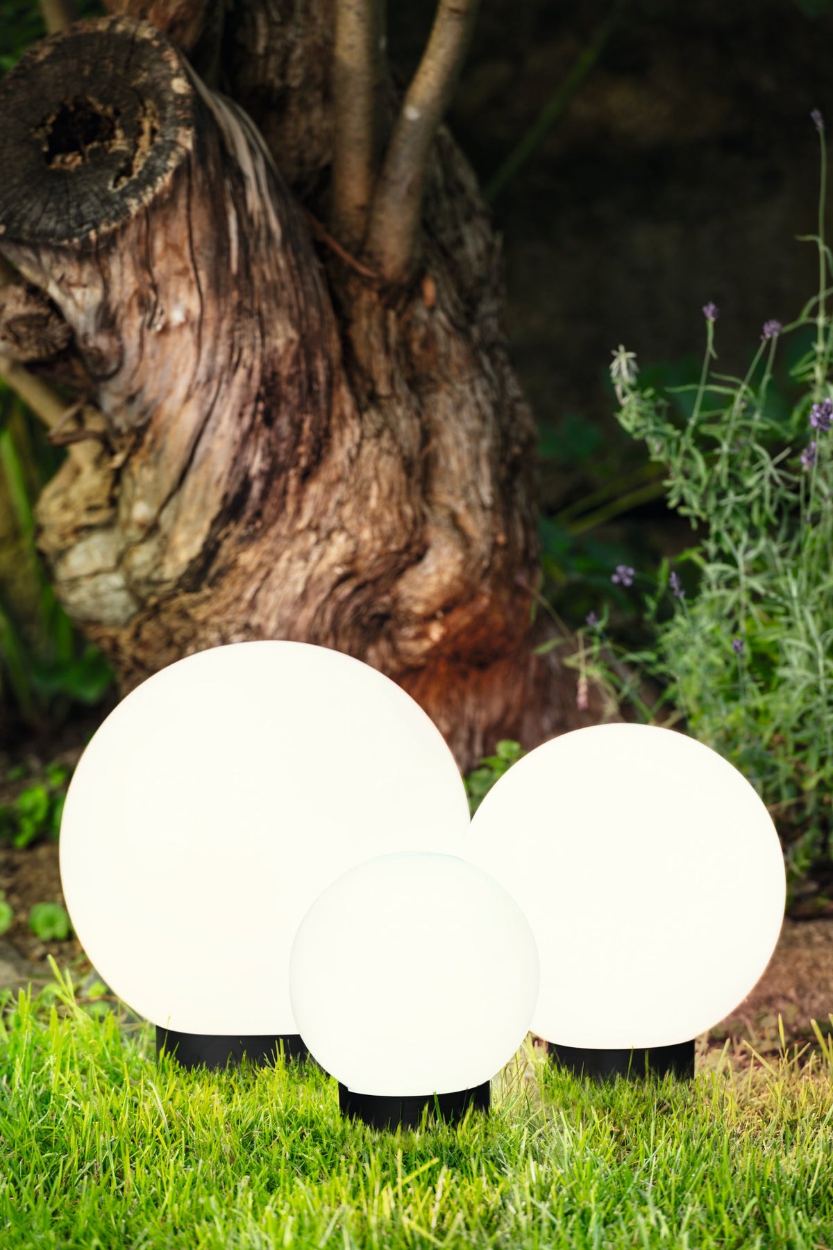 Trois boules lumineuses blanches éclairées au pied d'un arbre dans un jardin