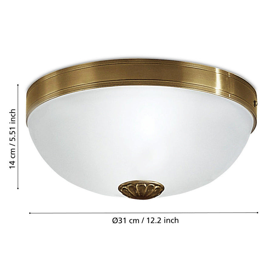 Schéma de dimensions avec diamètre 31 cm et hauteur 14 cm sur fond blanc.
