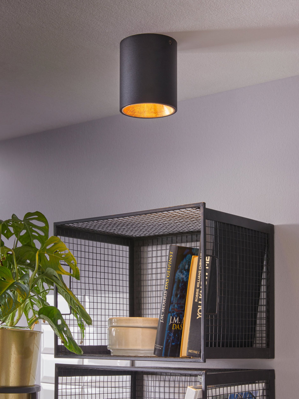 Mise en ambiance : luminaire allumé au plafond au-dessus d'une étagère noire et d'une plante