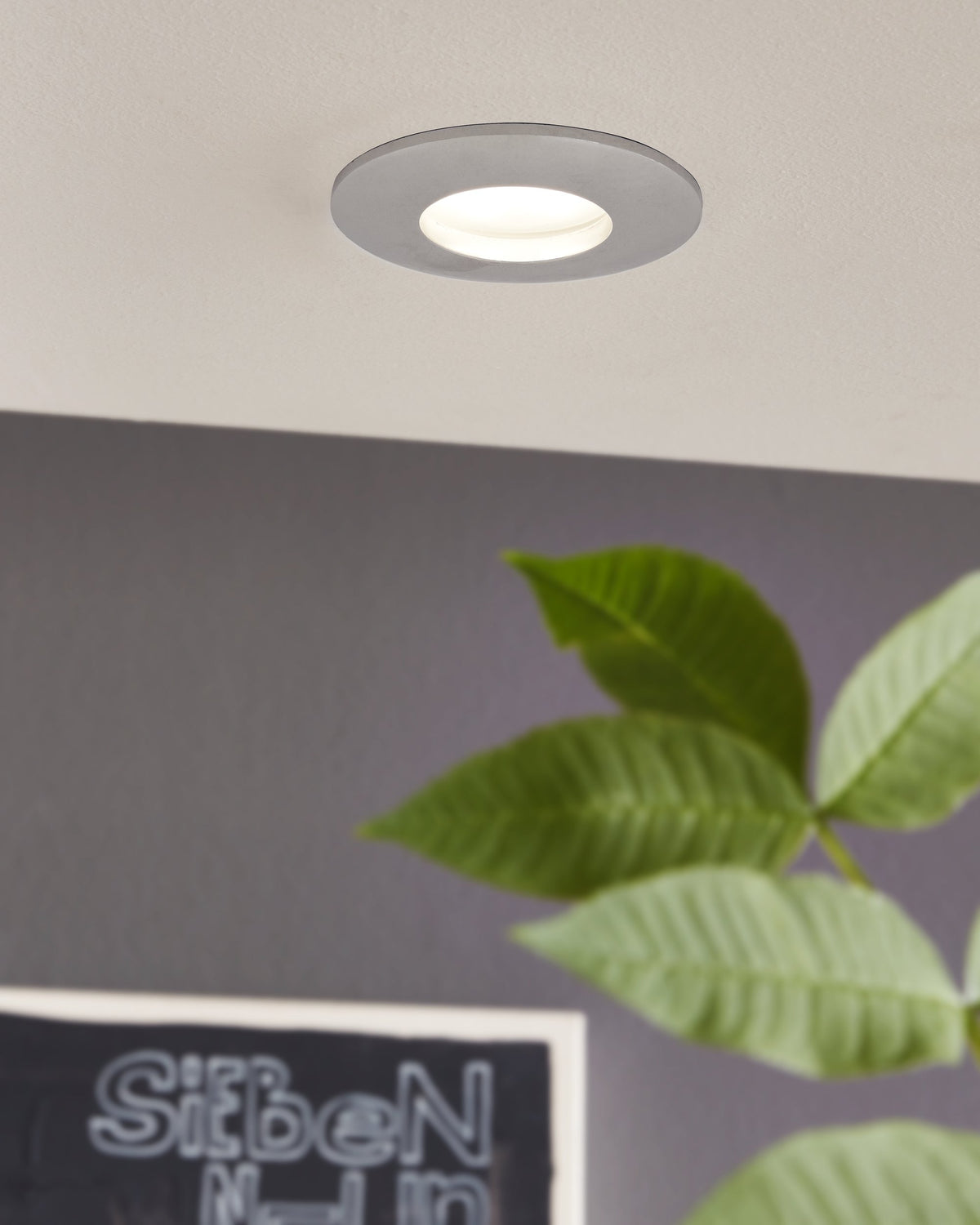 Mise en ambiance du spot allumé au plafond près d'une plante verte.