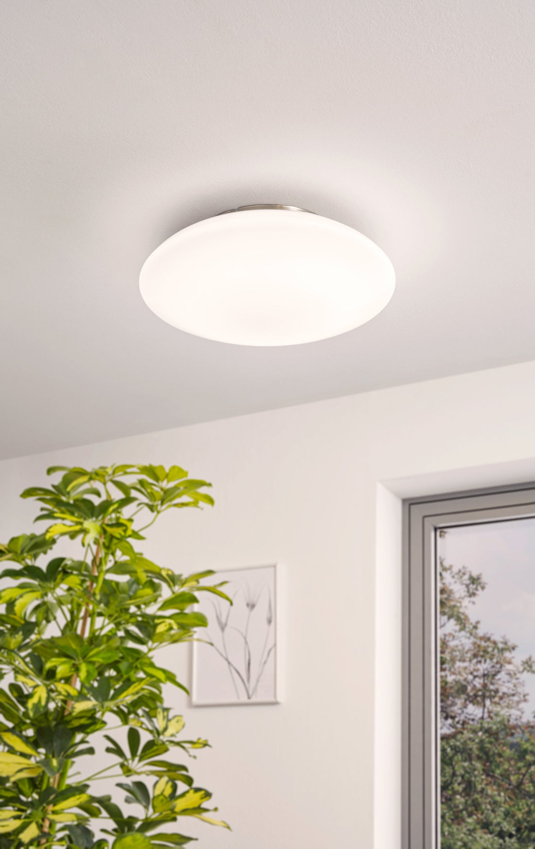 Luminaire plafonnier | Callanilo