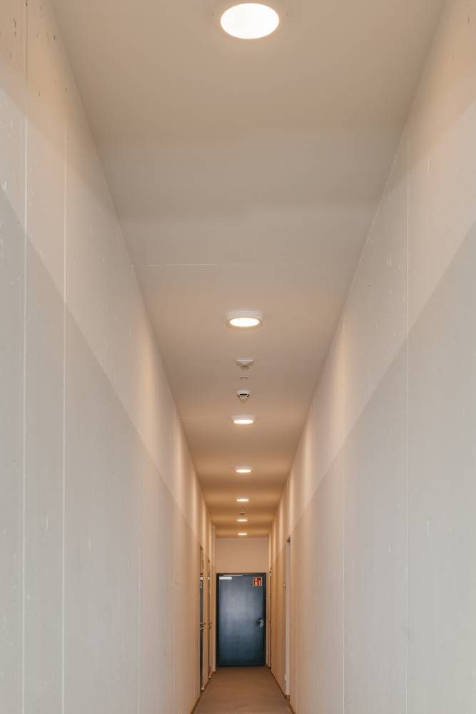 Plafonnier LED | Roskanano