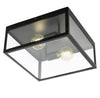 Plafonnier Charterhouse noir et transparent, verre