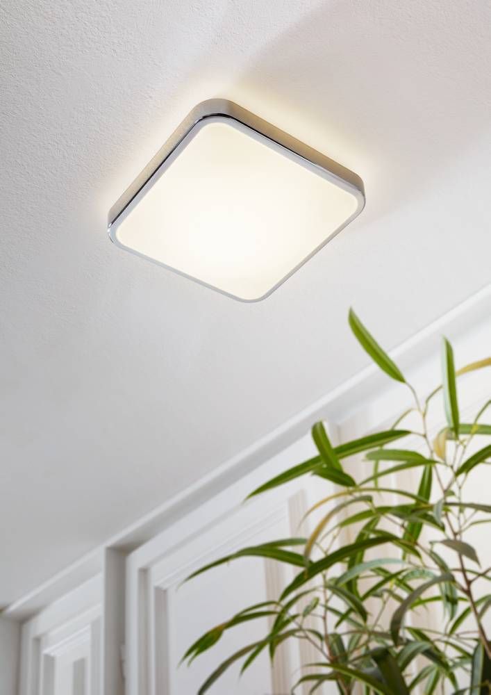 Luminaire allumé fixé au plafond blanc, ambiance intérieure avec plante verte au premier plan