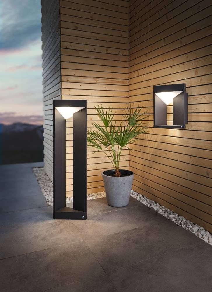 Lampadaire et applique murale allumés, mur de bois et plante en pot.