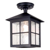 Luminaire extérieur | Winchester Noir