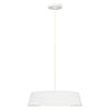 Suspension luminaire | Asher Blanche