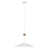 Suspension luminaire | Darwin