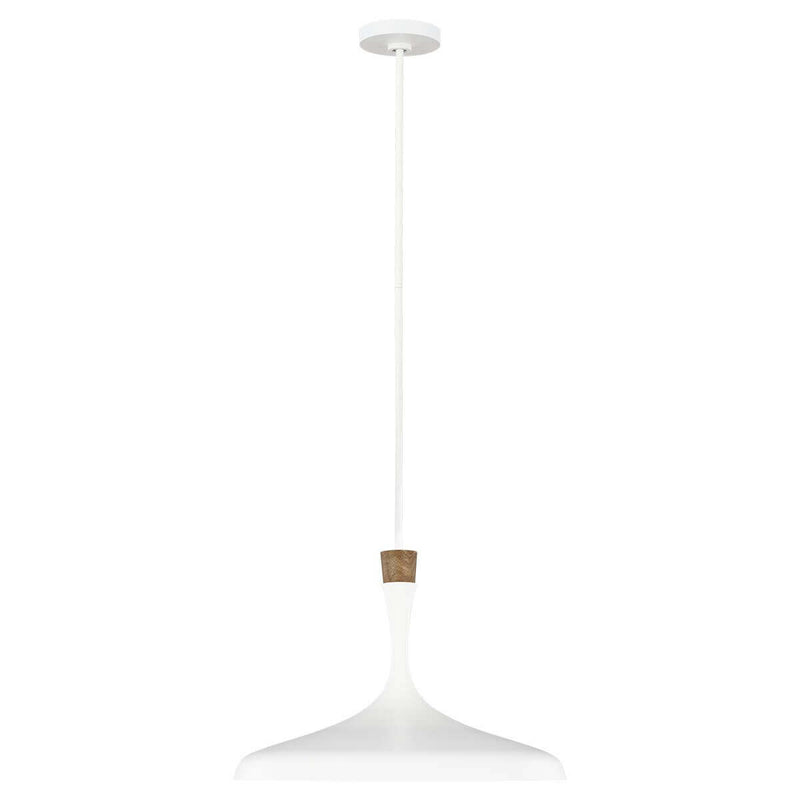 Suspension luminaire | Darwin