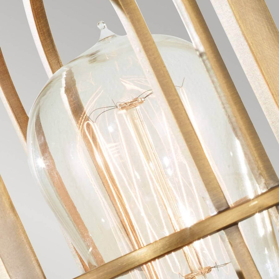 Zoom sur l'ampoule filetée transparente protégée par les tiges de la cage