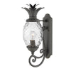 Luminaire extérieur | Plantation Noire