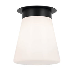 Luminaire plafonnier | Albers Noir