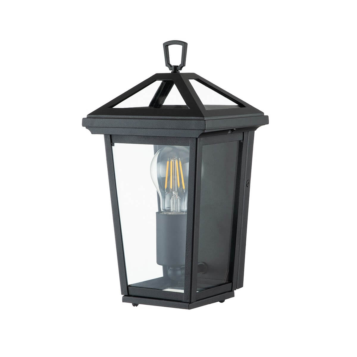 Applique extérieure Alford Place noire et transparente, verre